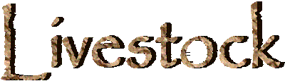 Livestock